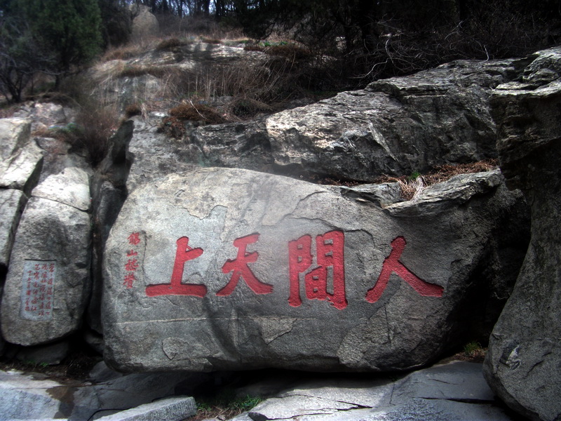 dscf0485.jpg