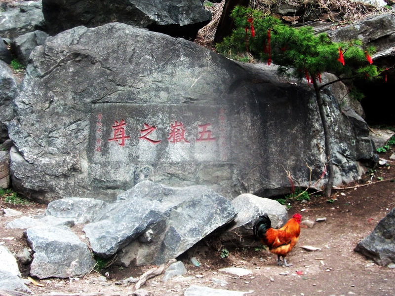 dscf0488.jpg