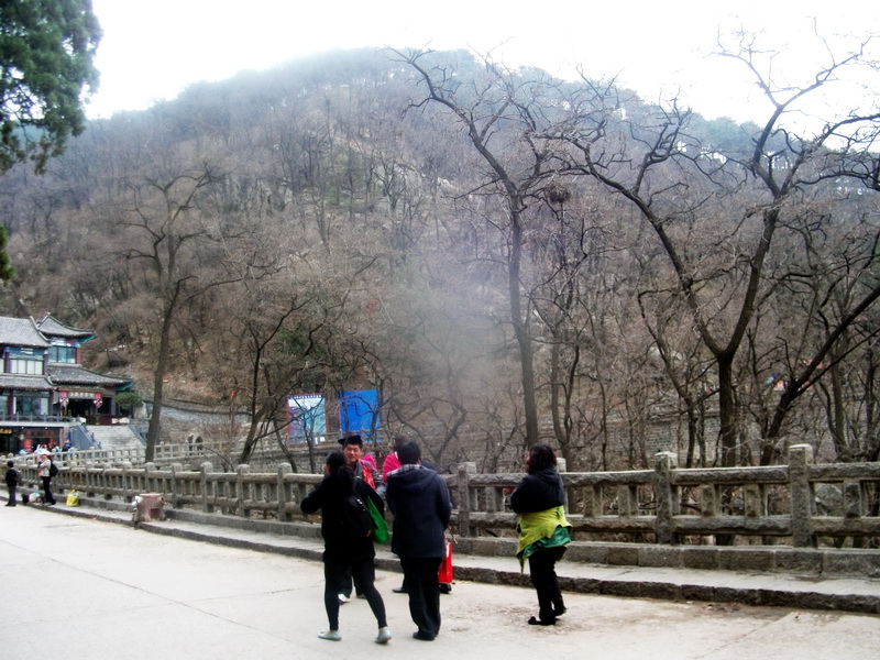 dscf0494.jpg