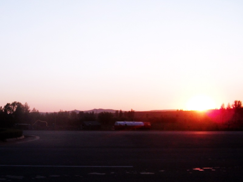 dscf0167.jpg