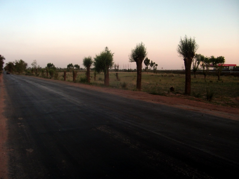 dscf0169.jpg