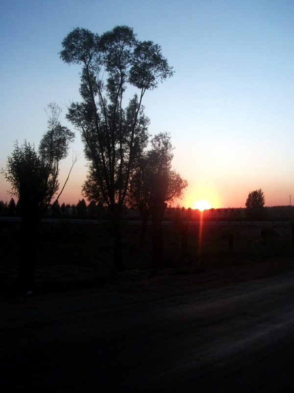 dscf0170.jpg