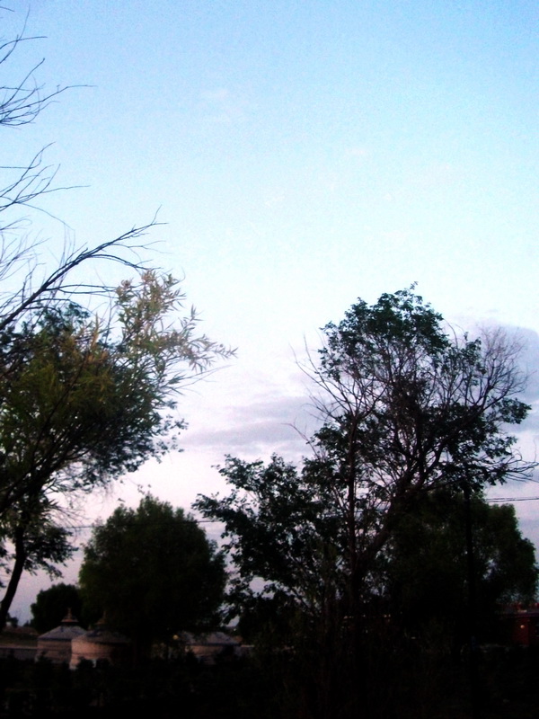 dscf0172.jpg