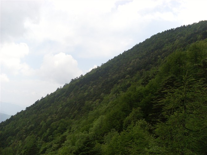 psbca72d8d9.jpg