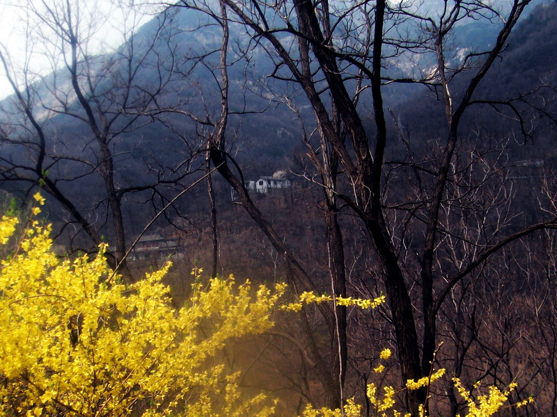 dscf0505.jpg
