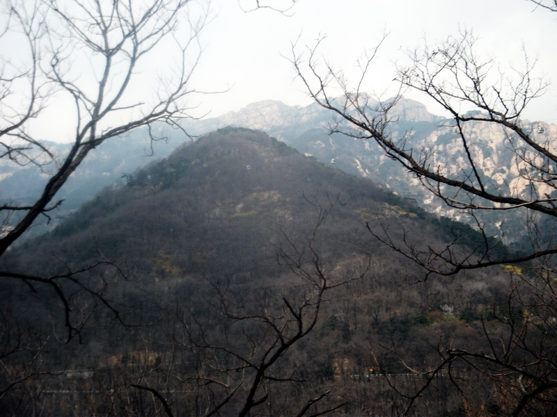 dscf0506.jpg