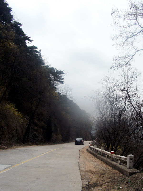 dscf0498.jpg