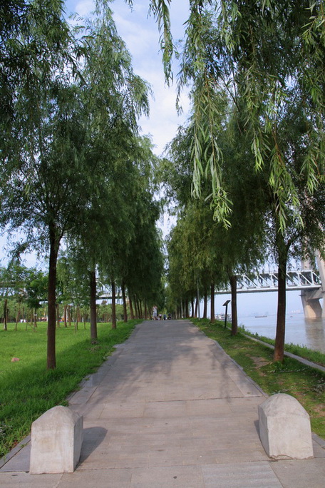 qq4.jpg