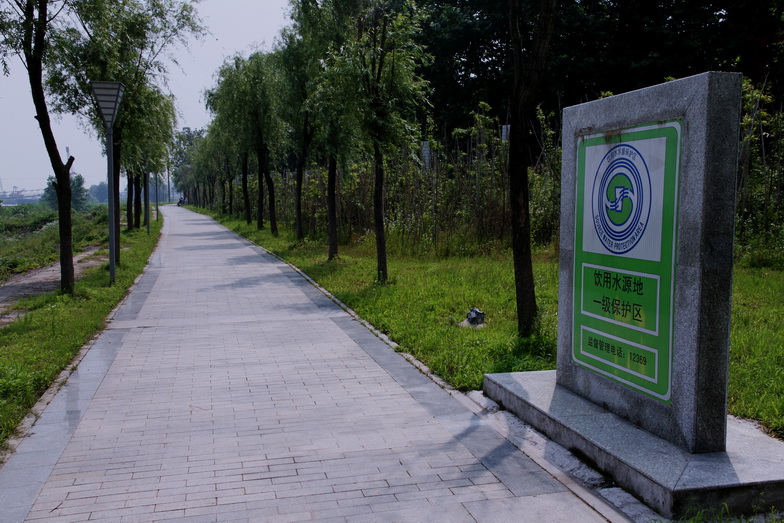 qq8.jpg