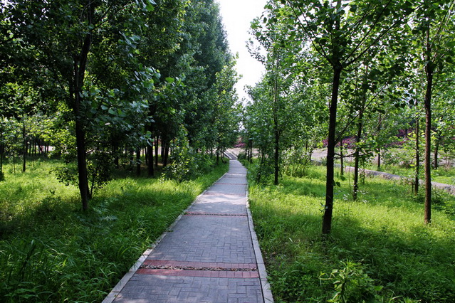 qq9.jpg
