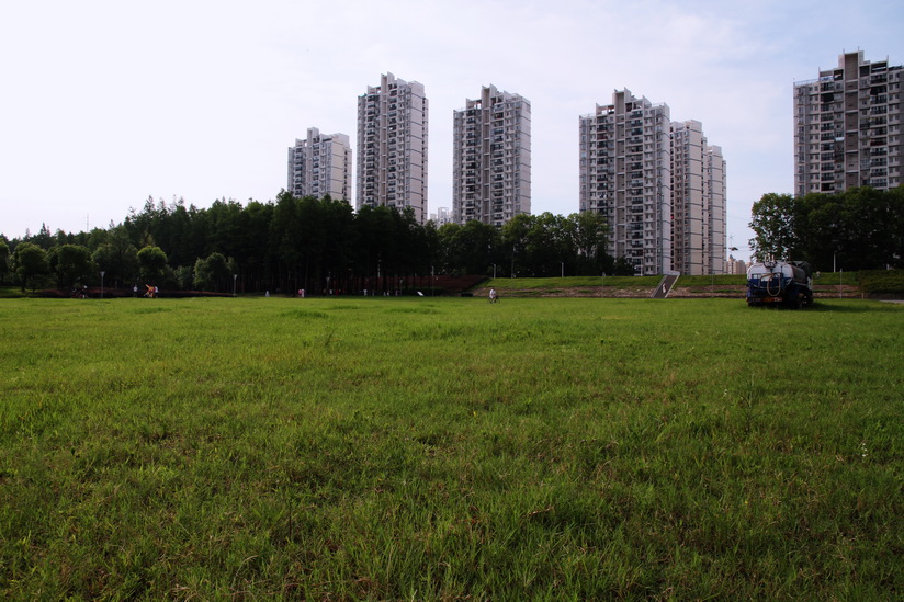 qq12.jpg