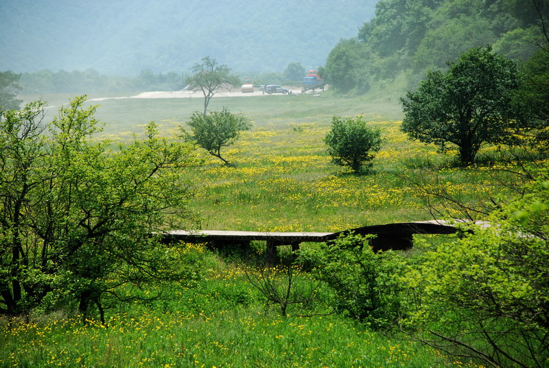 dsc_1157.jpg