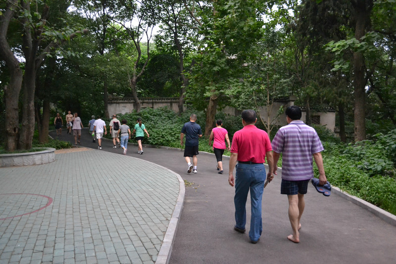 dsc_0063.jpg