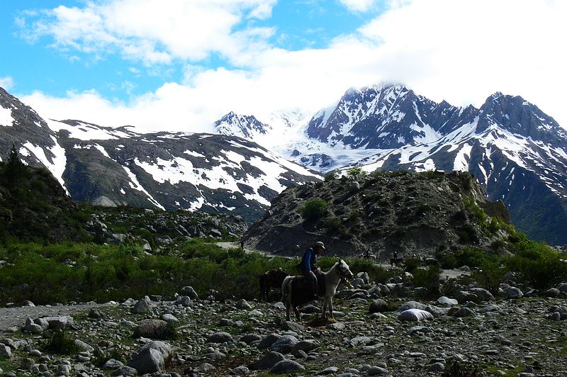 p1210447.jpg