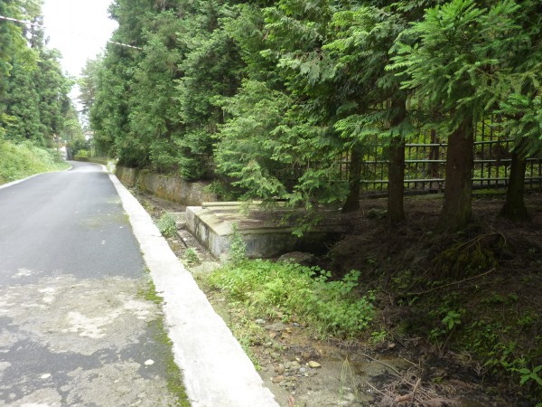 p1070378_conew1.jpg