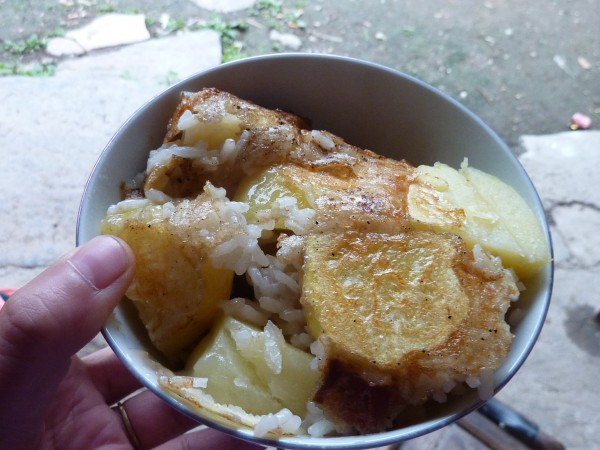 p1070415_conew2.jpg