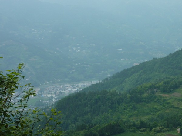 p1070332_conew2.jpg
