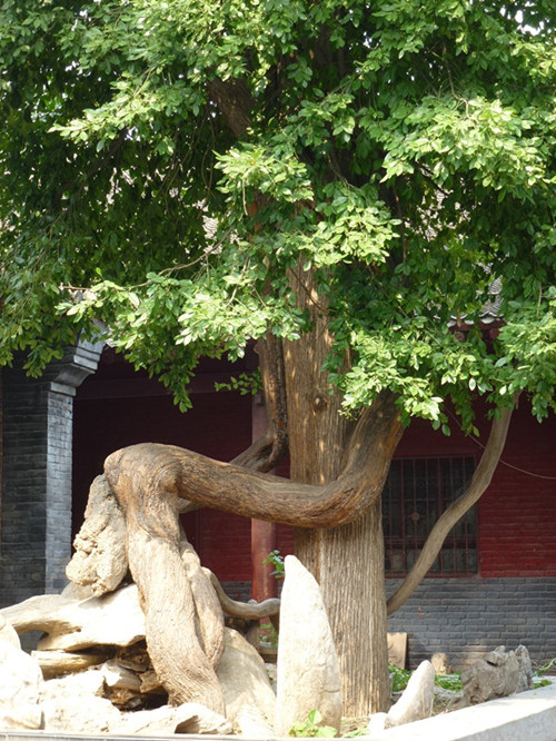 p1070367__.jpg
