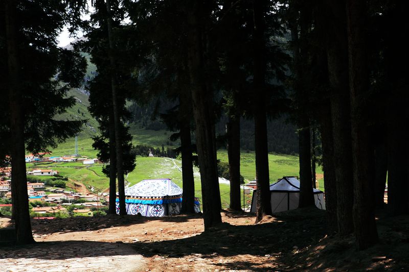 _mg_9194.jpg