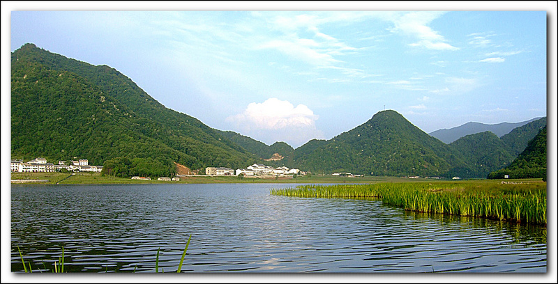 dscf6650ay.jpg