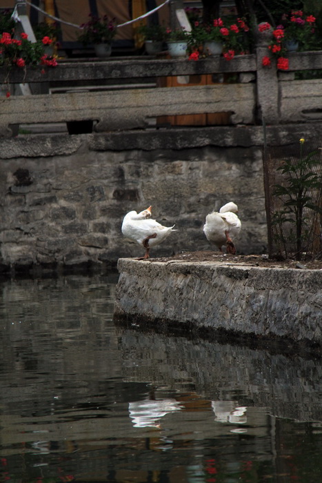 img_2810_С_С.jpg