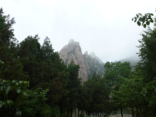 p1070440_.jpg