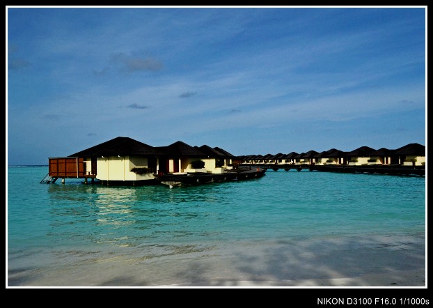 abc 074_conew1.jpg