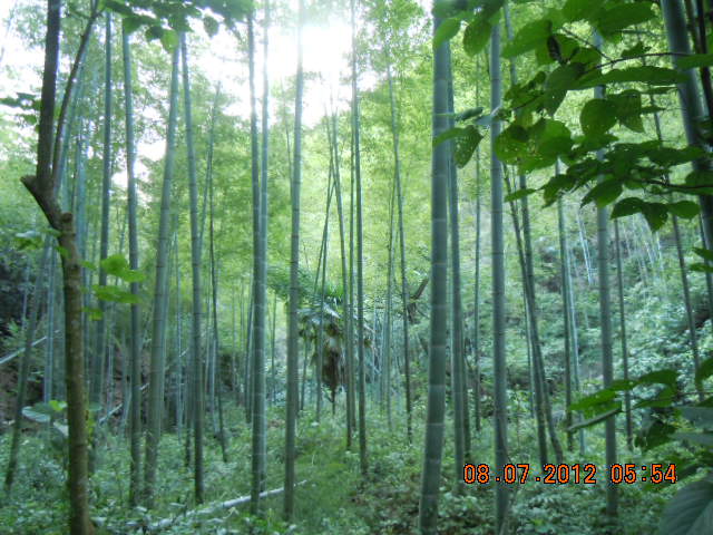 dscn4189.jpg