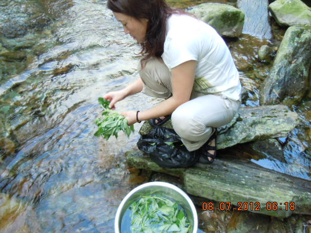 dscn4210.jpg