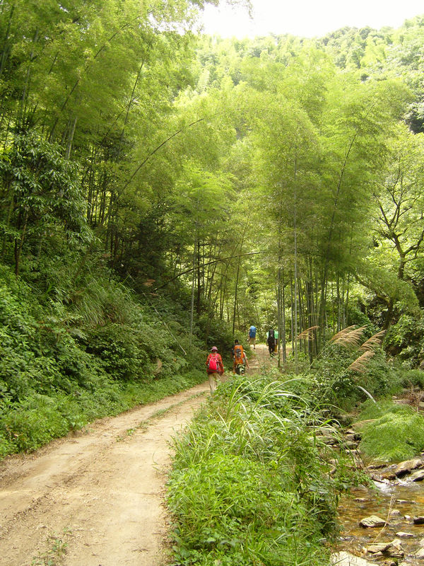  snc10092.jpg