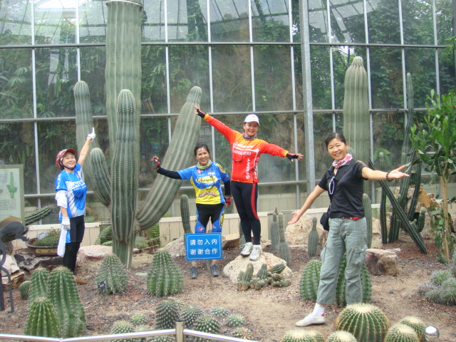 dsc07085.jpg