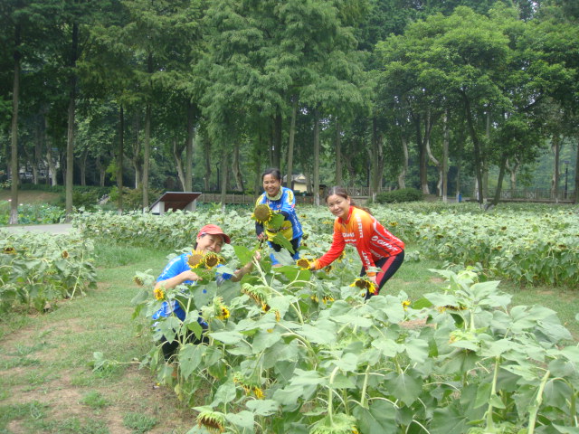 dsc07004.jpg