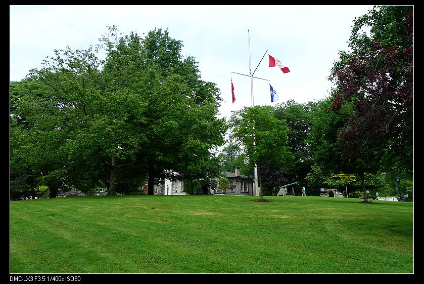 p1130402_neo_img.jpg