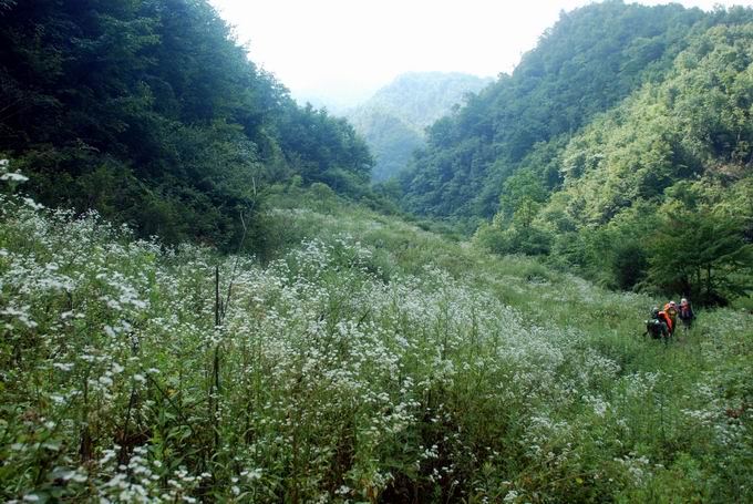 С dsc_0230.jpg