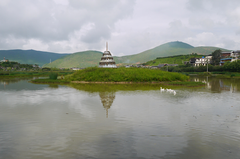 p1040472_.jpg