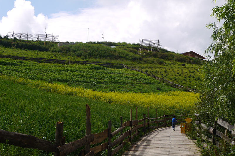 p1040485_.jpg