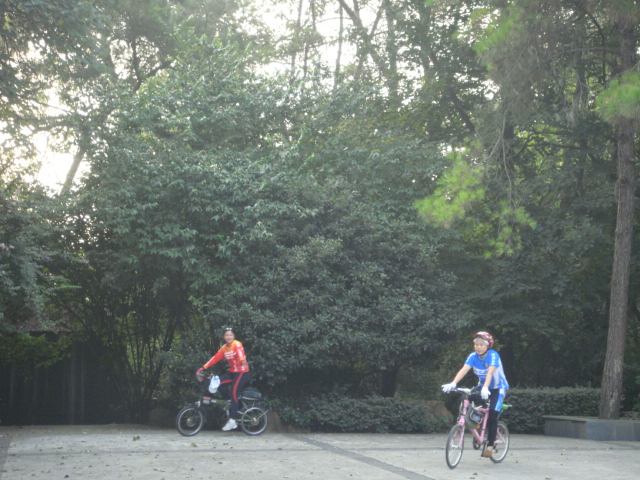 dsc06740.jpg
