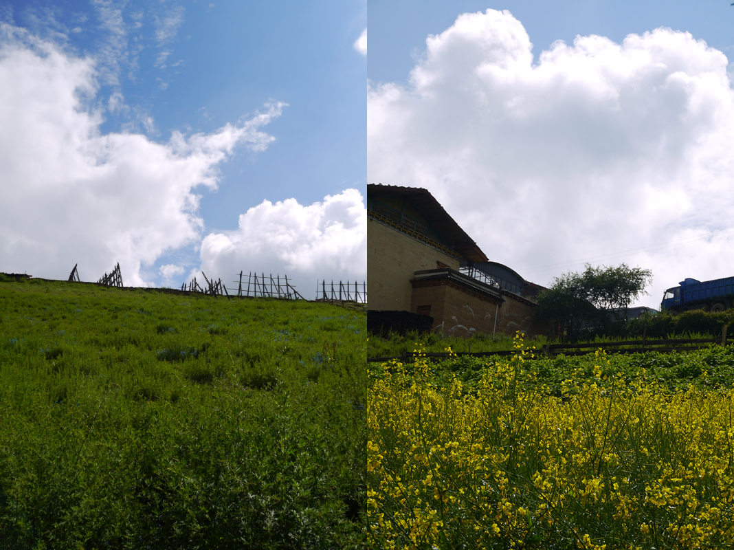 p1040546_.jpg