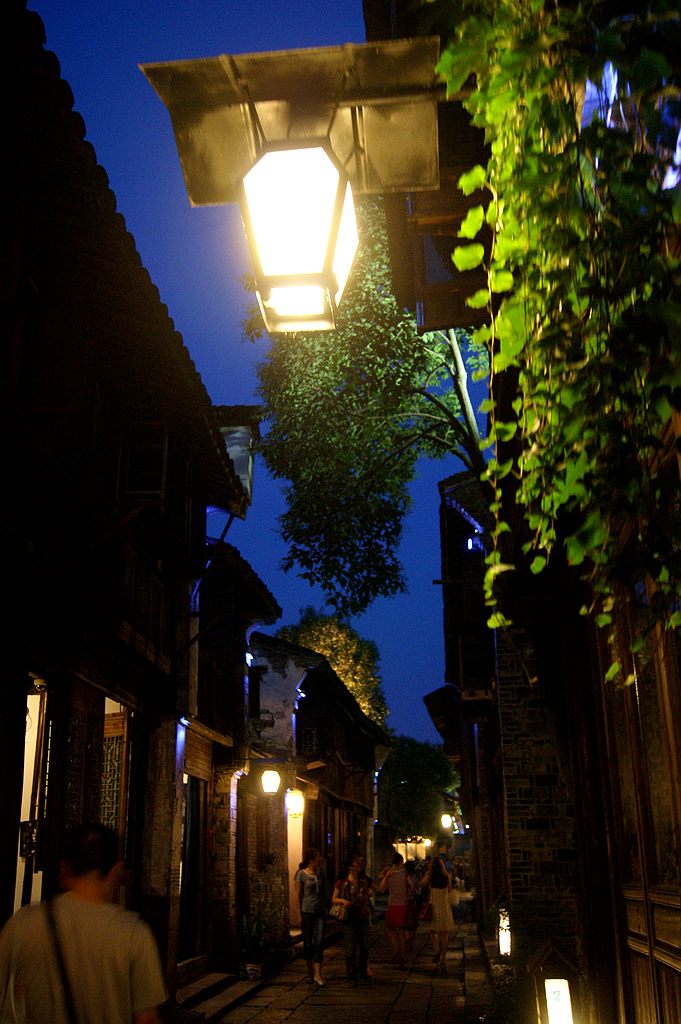 dsc00523.jpg