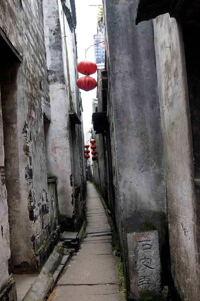 dsc00672.jpg