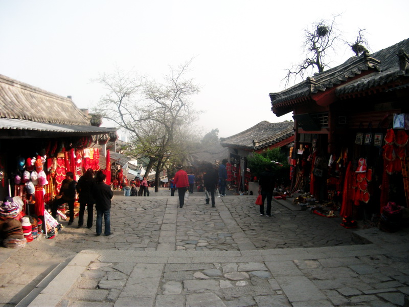 dscf0663.jpg