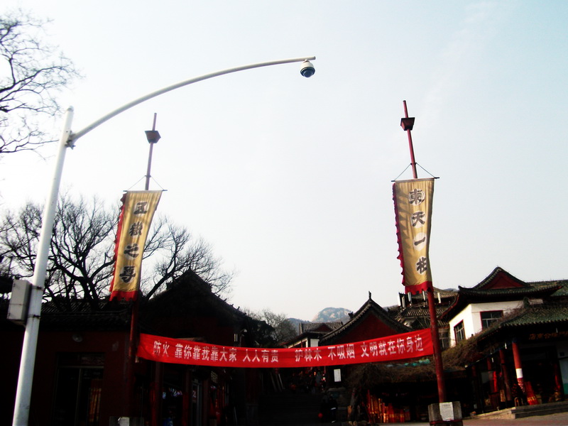dscf0668.jpg