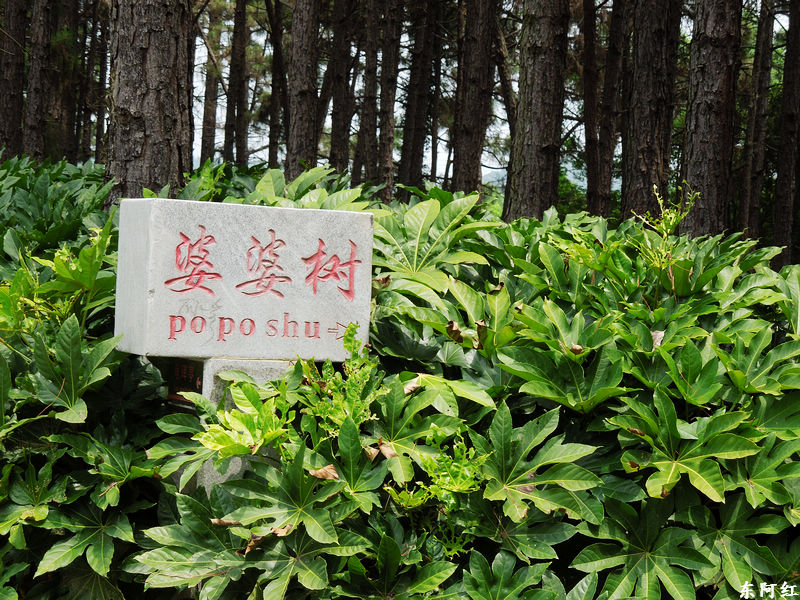 dscn1125.jpg
