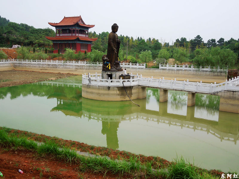 dscn1019.jpg