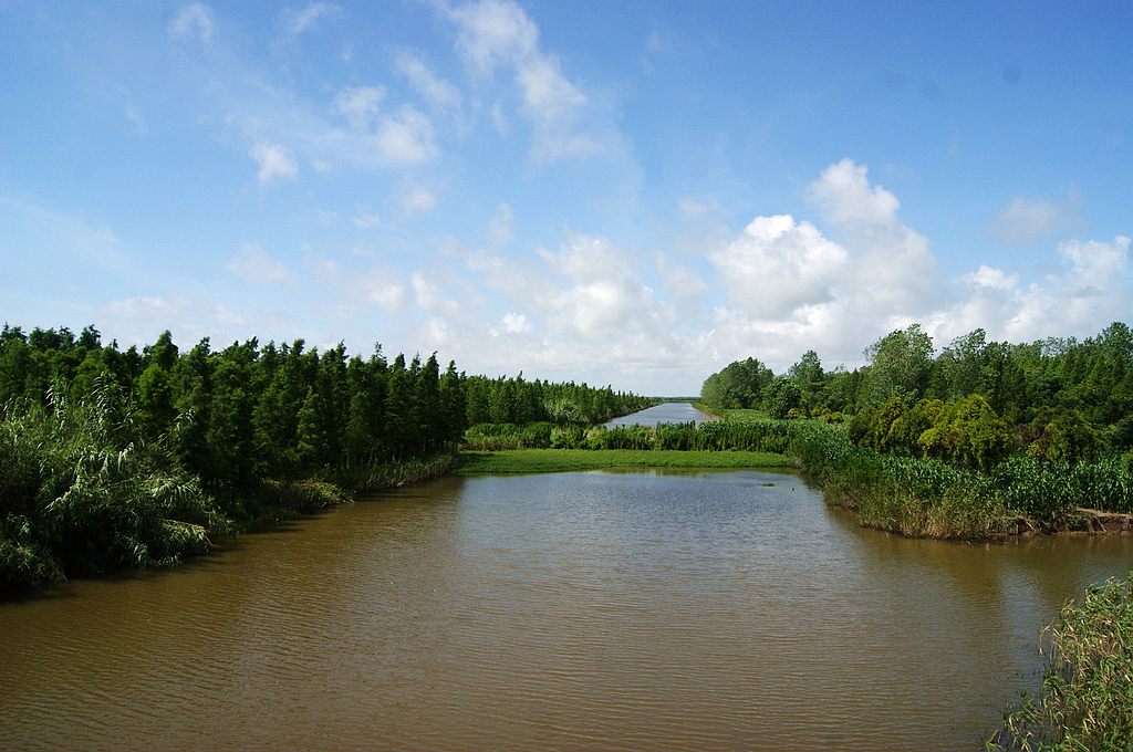 dsc00763.jpg