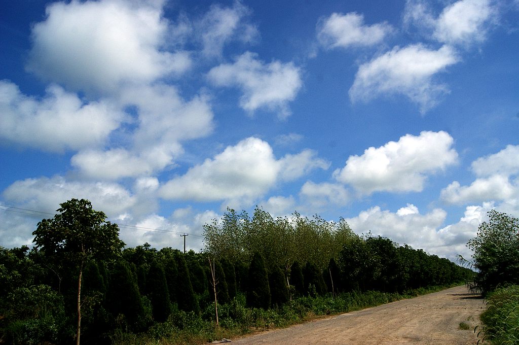 dsc00774.jpg