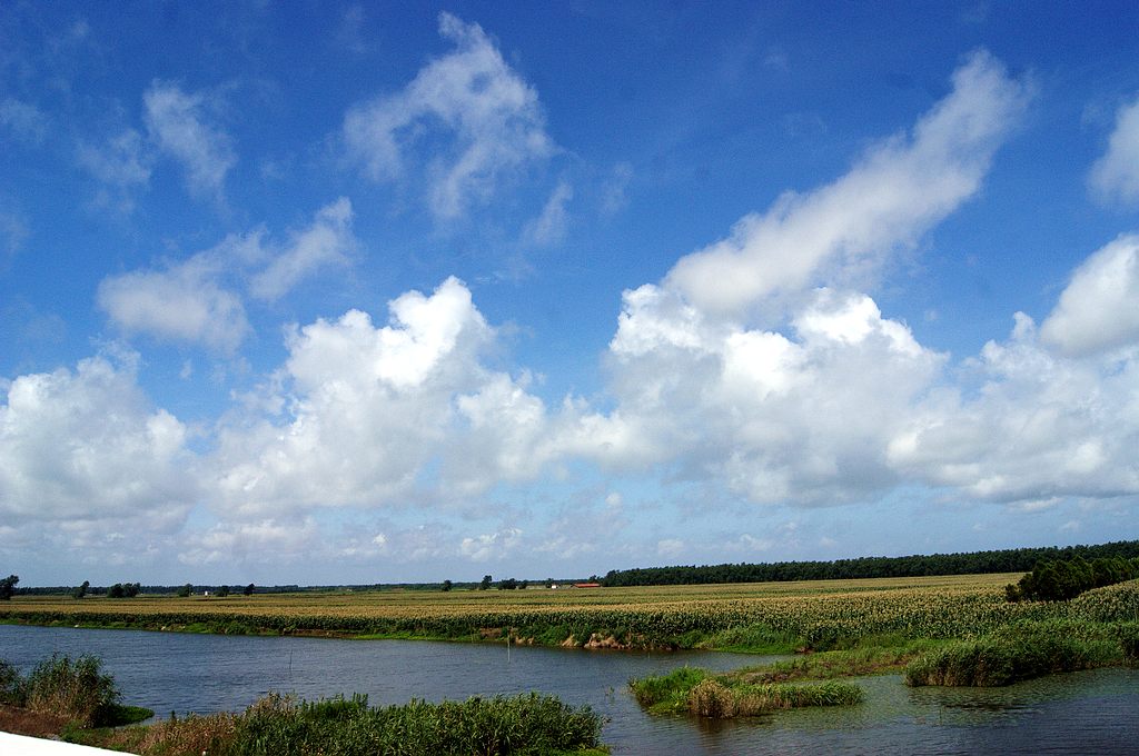 dsc00784.jpg