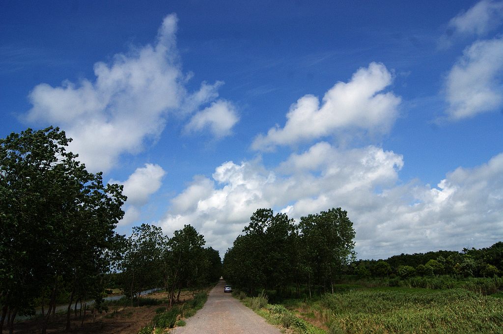 dsc00780.jpg