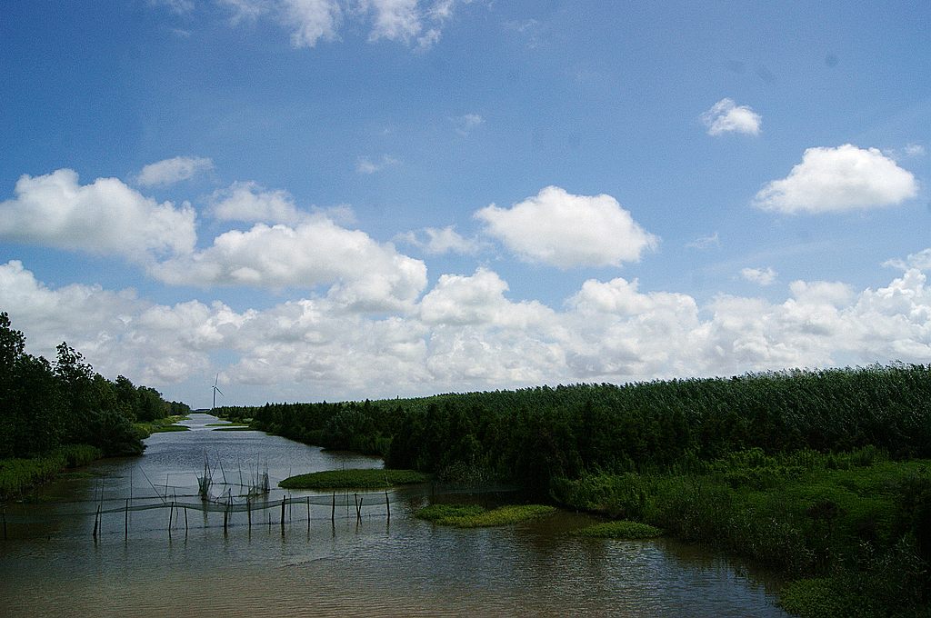 dsc00779.jpg