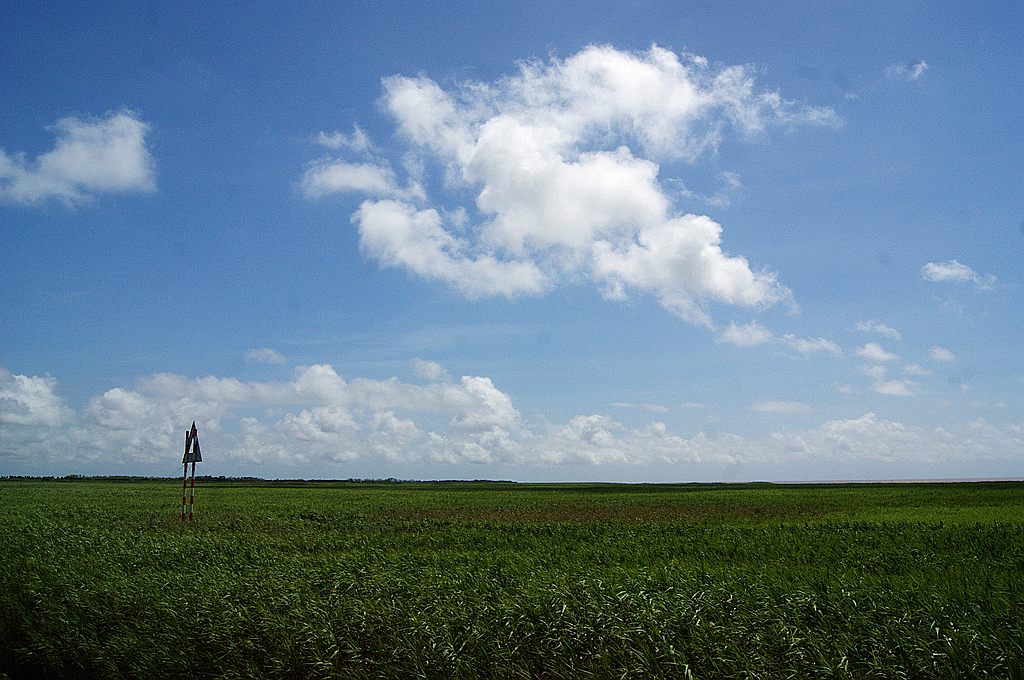 dsc00788.jpg